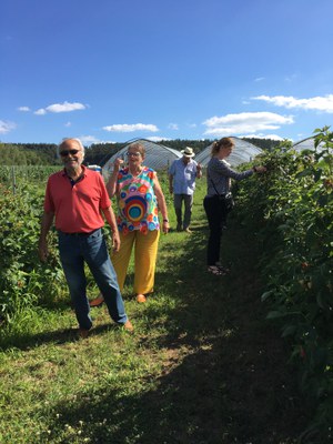 Zott Obsthof Himbeeren.JPG