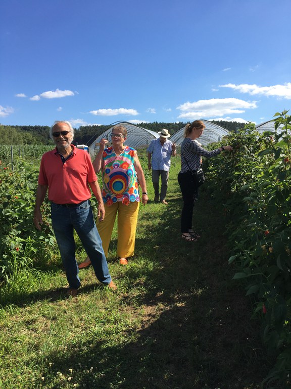 Zott Obsthof Himbeeren.JPG