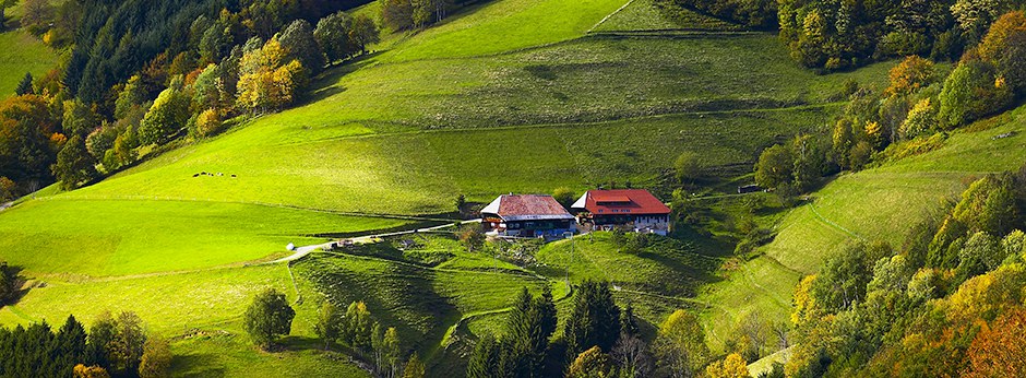 Baden-Schwarzwald