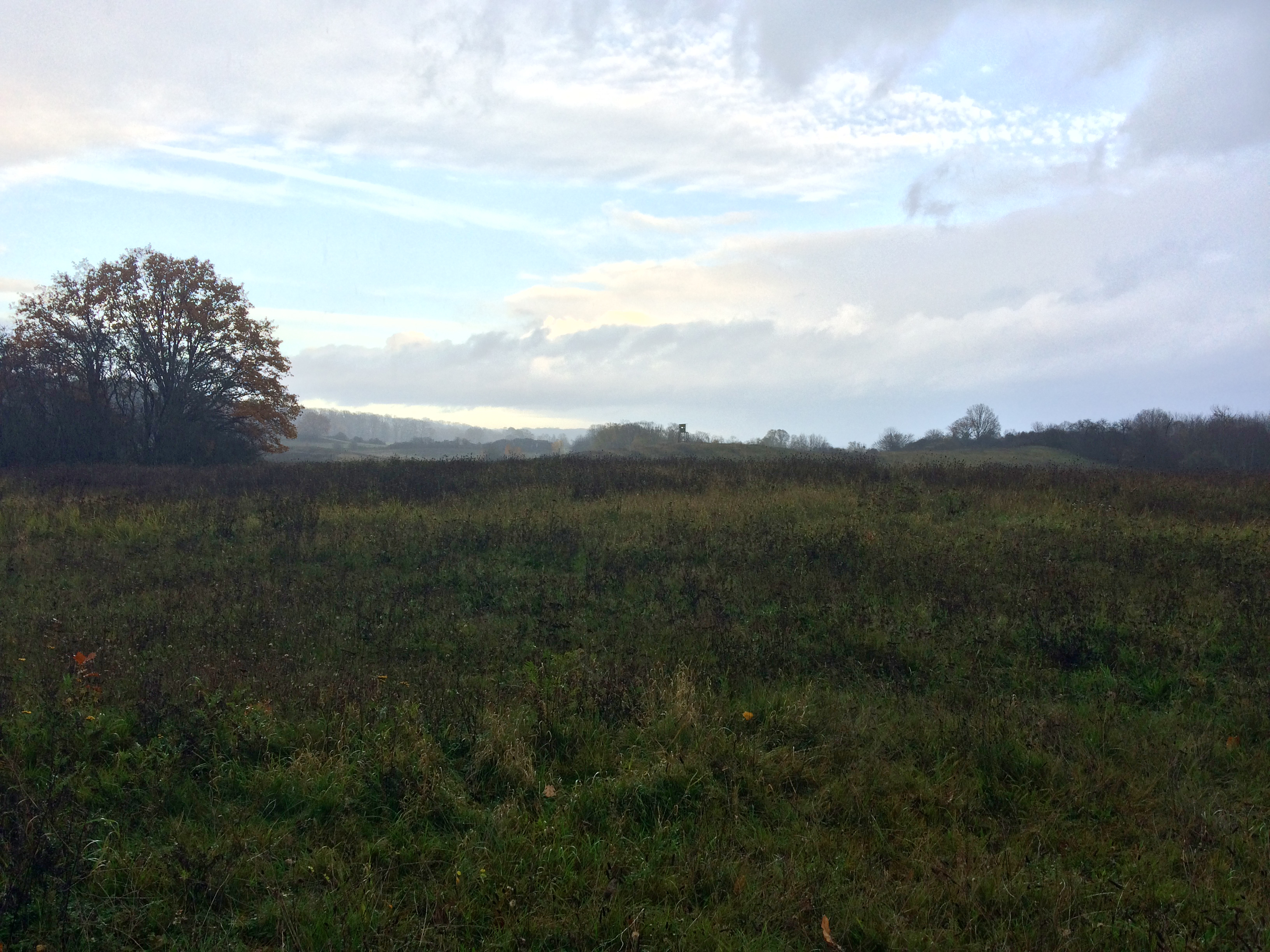 Spaziergang bei Oderberg am 22.11.20