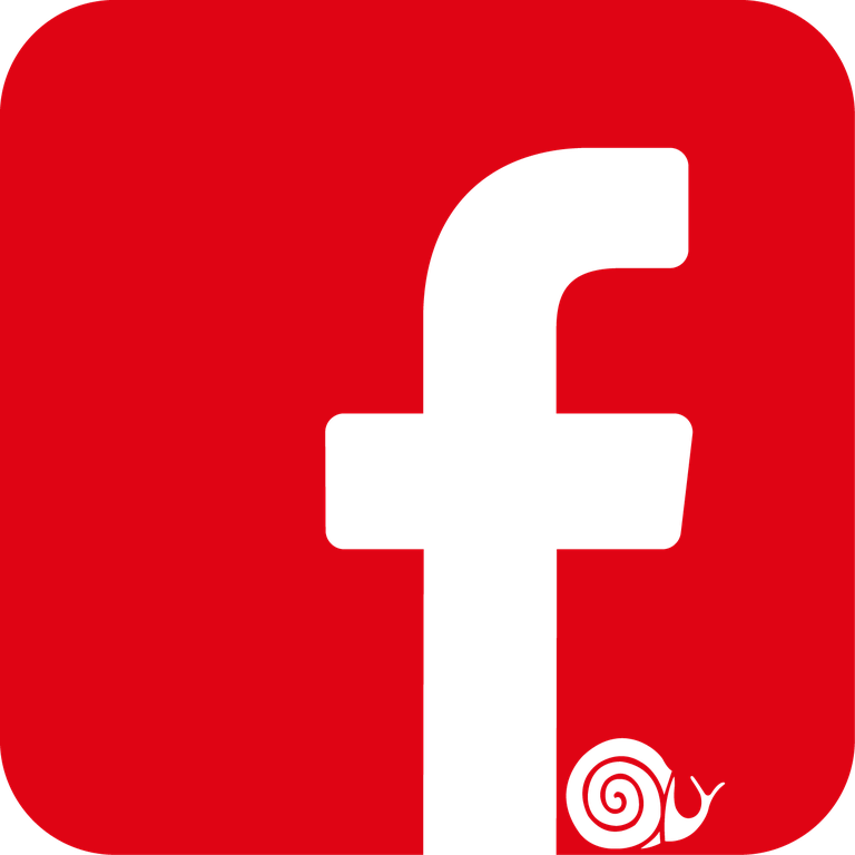 Facebook-icon.png