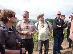 con_berg_land-slow_food_landskrone_vieux_sinzig_weingut_burggarten_14.05.2011_005.jpg