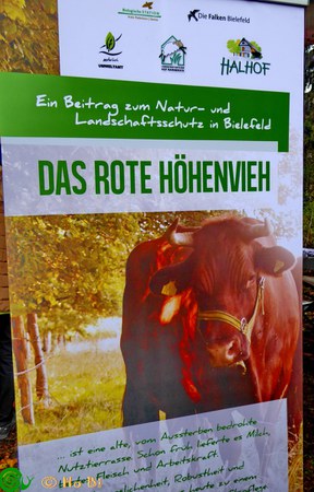 1_owl-va_2015-va_2016-14_apfeltag_03_10_2016_hoehenvieh_144.jpg 1_owl-va_2015-va_2016-14_apfeltag_03_10_2016_hoehenvieh_144.jpg