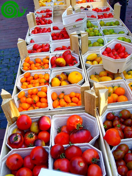 1_owl-va_2015-02_abendmarkt_tomaten_08_2015_624.jpg