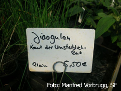 herne-gewuerze-hof6.jpg herne-gewuerze-hof6.jpg