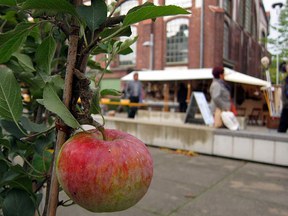 herne-herne_2014-6apfel.jpg