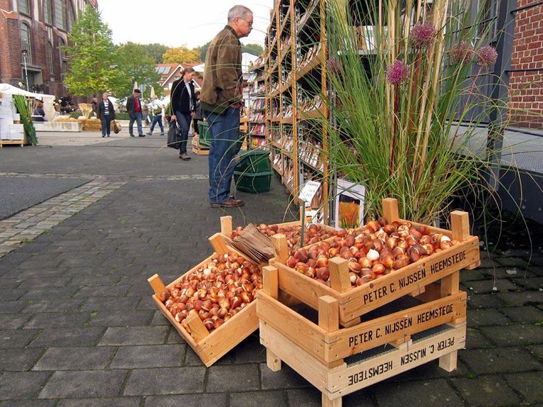 herne-herne_2014-7blumenzwiebeln.jpg