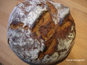 herne-1_hutzelbrot1.jpg herne-1_hutzelbrot1.jpg