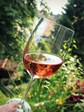 herne-1_wein.jpg herne-1_wein.jpg