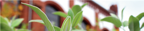 herne-manufactum0.png herne-manufactum0.png
