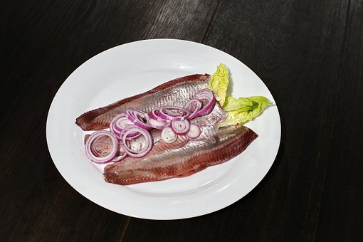 herne-04_herring-1600392_340.jpg