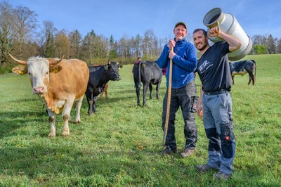 Exkursion mit Landmenü: Bodensee Weiderind