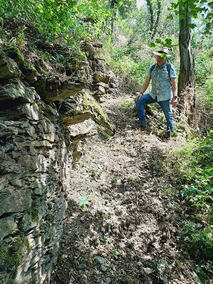 Historische Weinbergsmauern