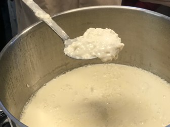erstertofu01.jpg