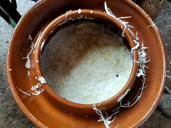 sauerkraut2024-03.jpg