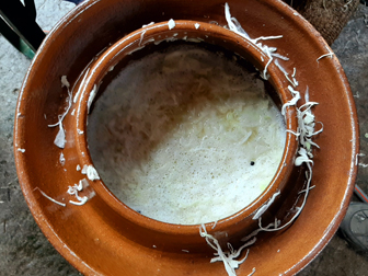 sauerkraut2024-03.jpg