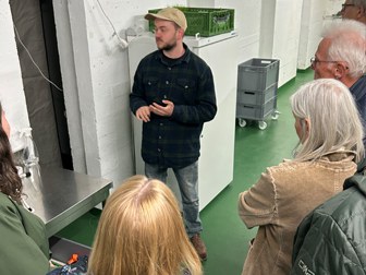 urbangreen_04.jpg