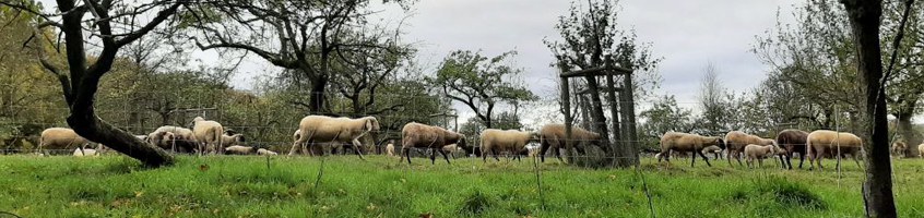 Zwischen Wingert & Busch