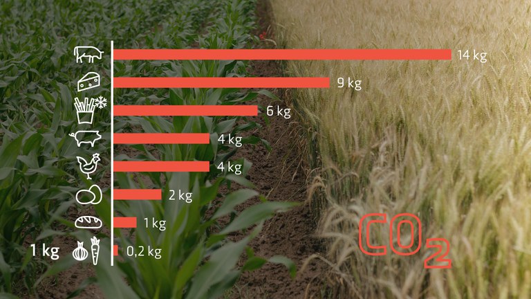 © L&P Die CO2-Last unserer Lebensmittel.jpg