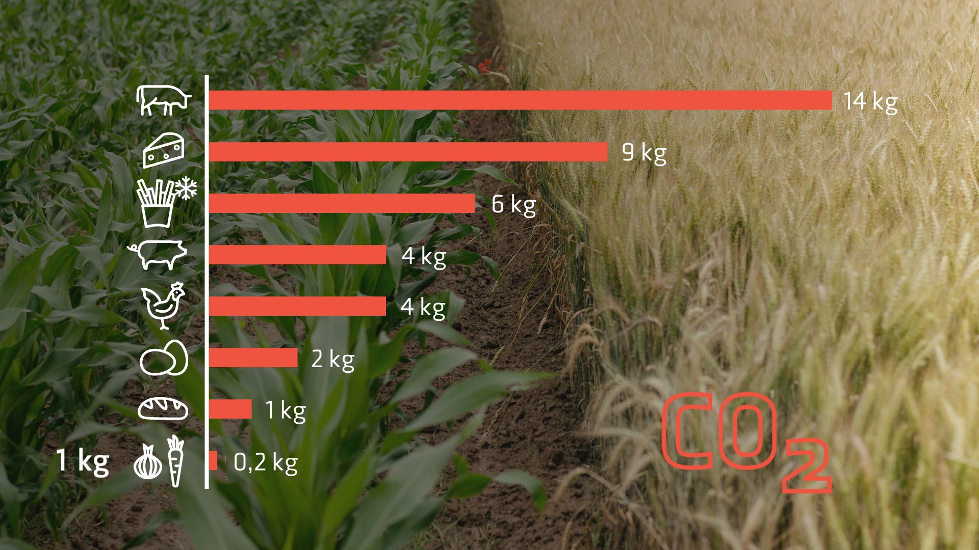 © L&P Die CO2-Last unserer Lebensmittel.jpg