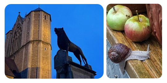 Braunschweiger Land_Loewe von Lisa Wiechmann_Schnecke im Slow Food Modus von Anne-Regine Halbes.png