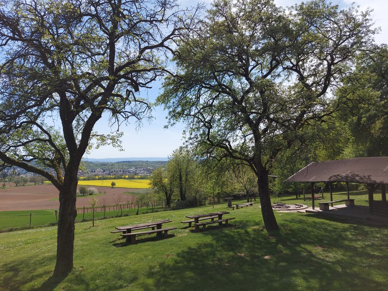 Grillplatz Fraueneich 1.jpeg