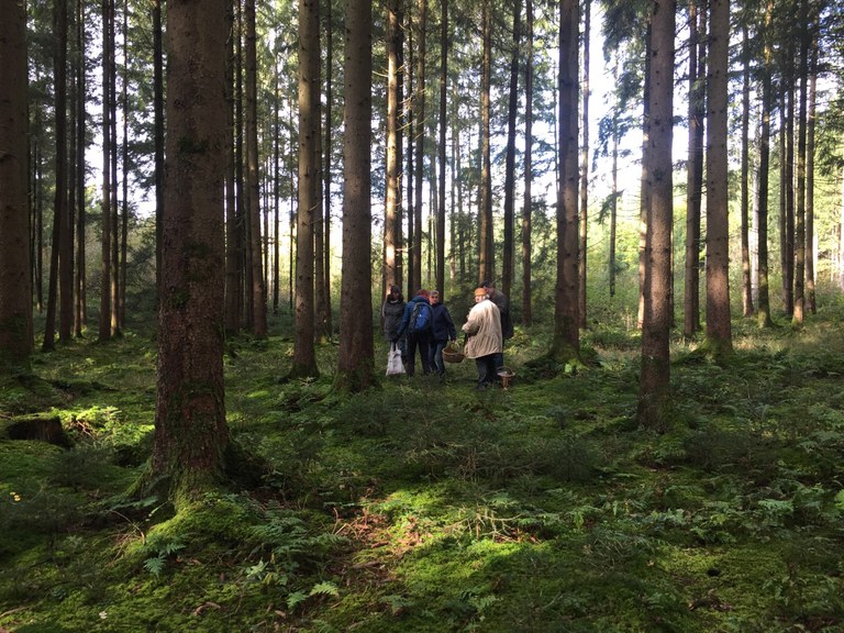 Begegnungen im Wald ©Zeilinger