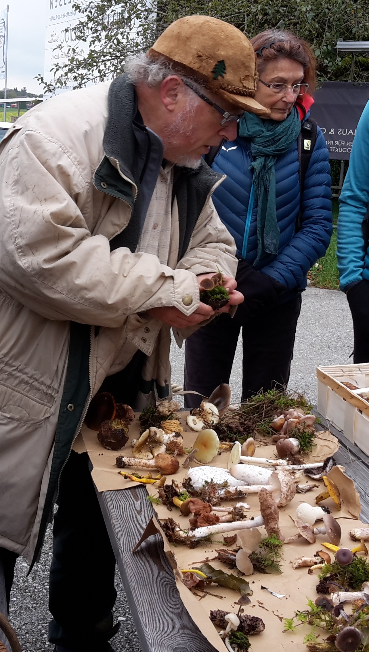 Pilzwanderung mit Buchautor Lohmeyer ©Mödinger