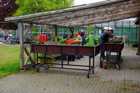 aktionen_2015-1_cv_ol_bunkergarten_9.jpg