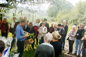 aktionen_2014-cv_akt_pfahlweinberg_sep_1.jpg