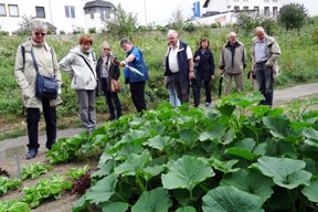 aktionen_2015-cv_aktuell_andernach_monika-hoerig_3_288.jpg