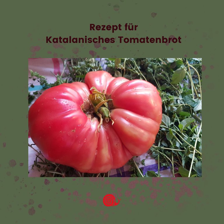 Tomatenbrot_katalanisch.jpg