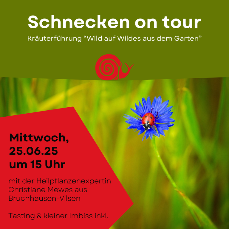 Kräuterführung2_250625.png