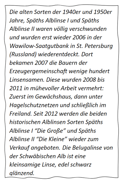 grafik.png für Kartoffel-Linsen-Salat