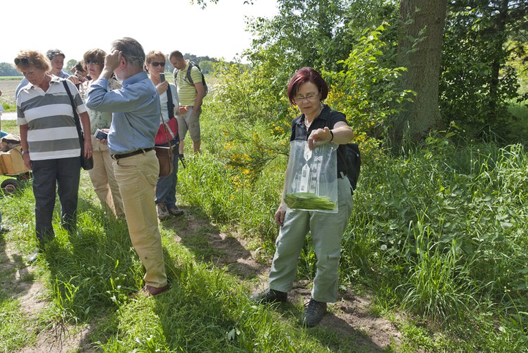 convivium_essen-20110507_kraeuterwanderung-20110507_schermb_slowf_kraeuterw-_034.jpg