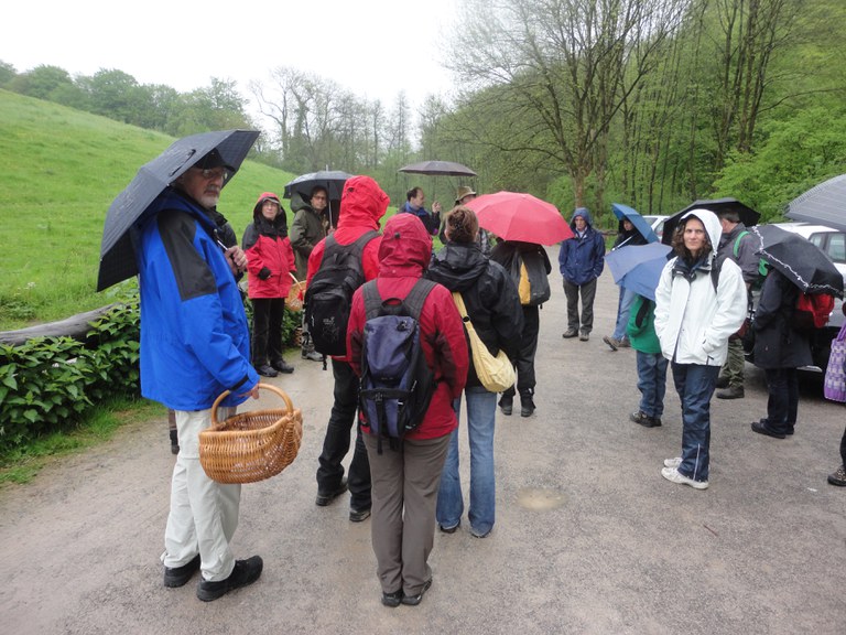 convivium_essen-kraeuterwanderung_angertal_05.05.2012_003.jpg