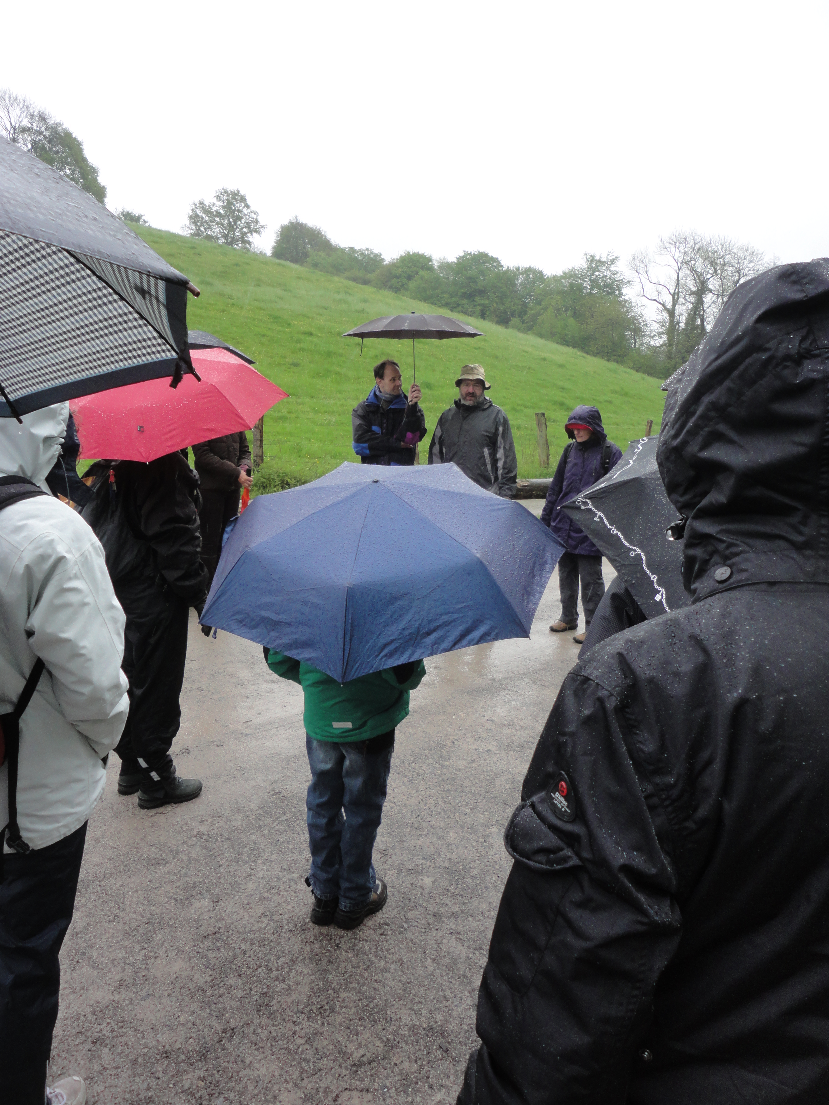 convivium_essen-kraeuterwanderung_angertal_05.05.2012_004.jpg