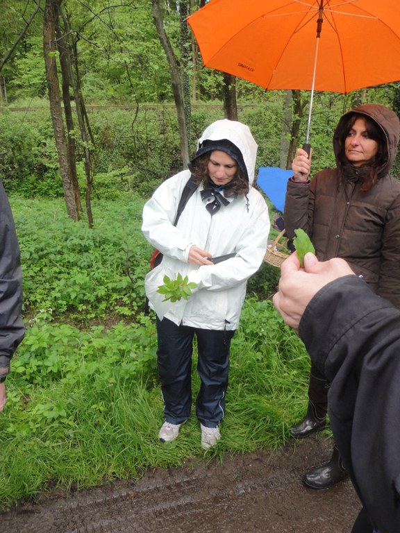 convivium_essen-kraeuterwanderung_angertal_05.05.2012_007.jpg