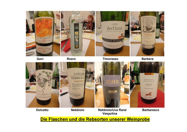 convivium_essen-rebsorten_und_weine_unserer_weinprobe.jpg