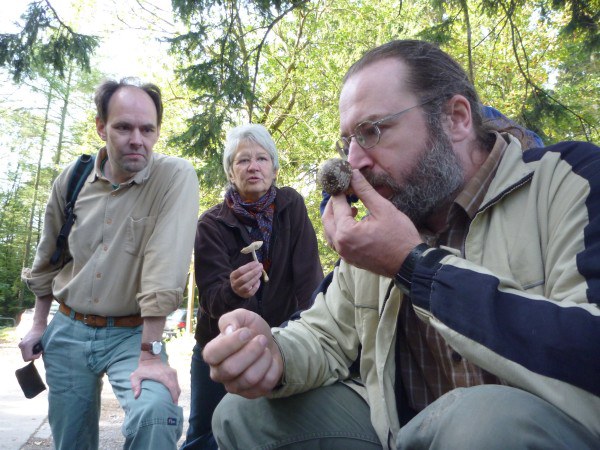 convivium_essen-02_-_wir_sammeln_pilze.jpg