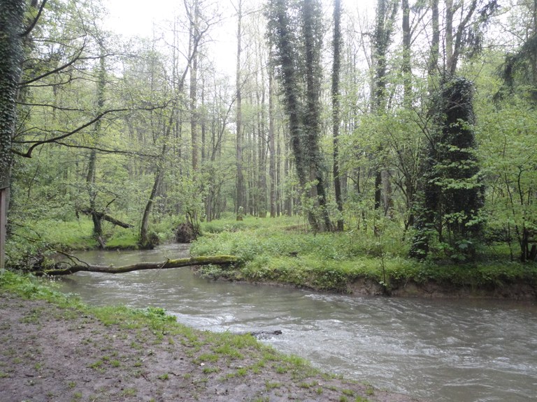 convivium_essen-kraeuterwanderung_angertal_05.05.2012_016.jpg