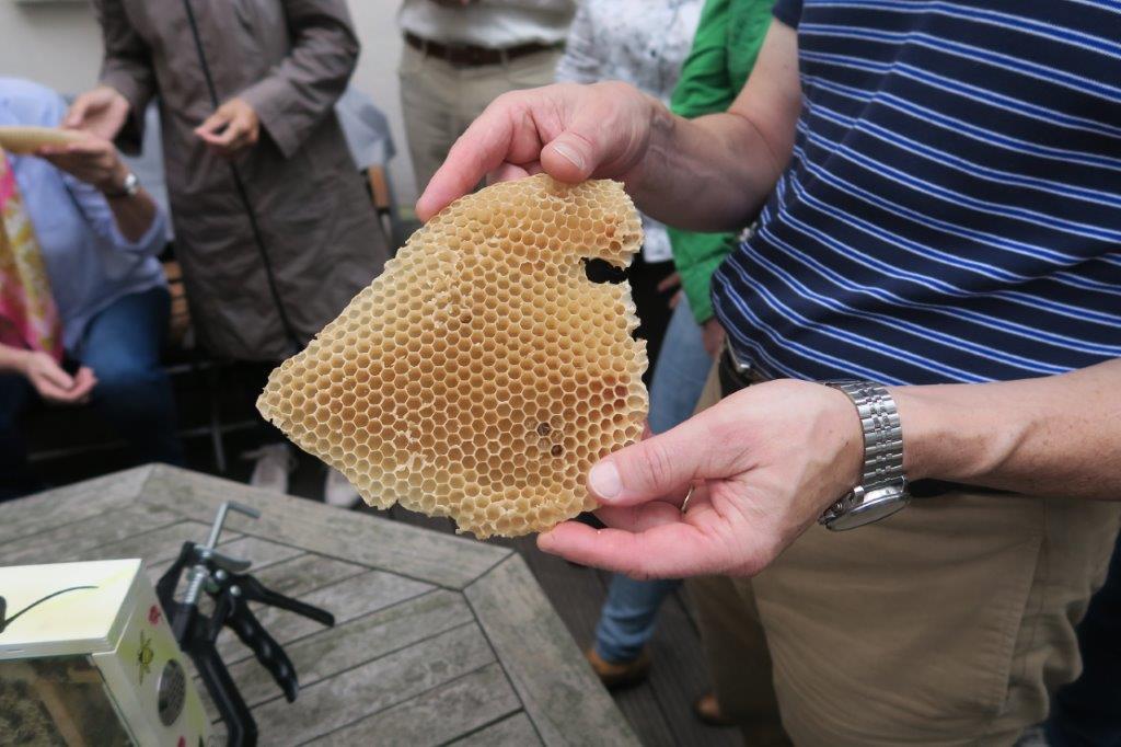 convivium_essen-2015_bienen-img_2106.jpg