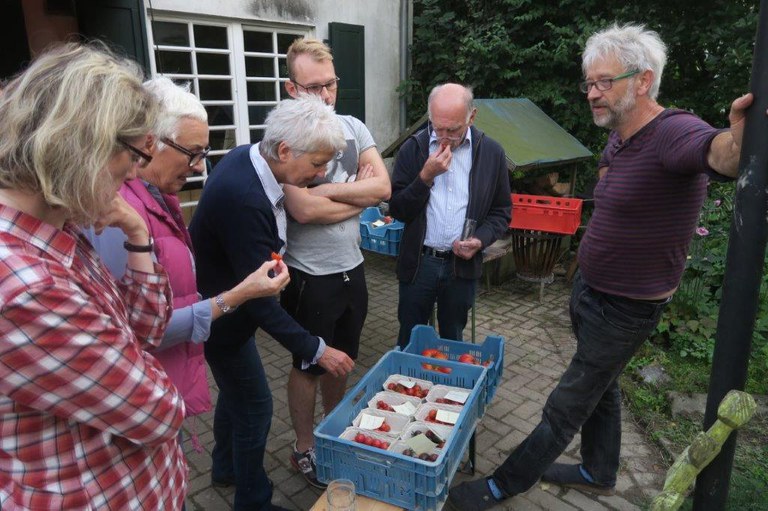 convivium_essen-2016_sommerfest_tomatenverkostung.jpg