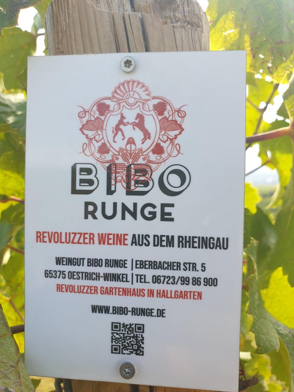 Bibo Runge Nr.2.jpg