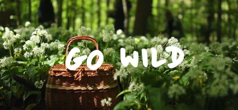 Wildkräutersammlung 2024 09 21_03.jpg