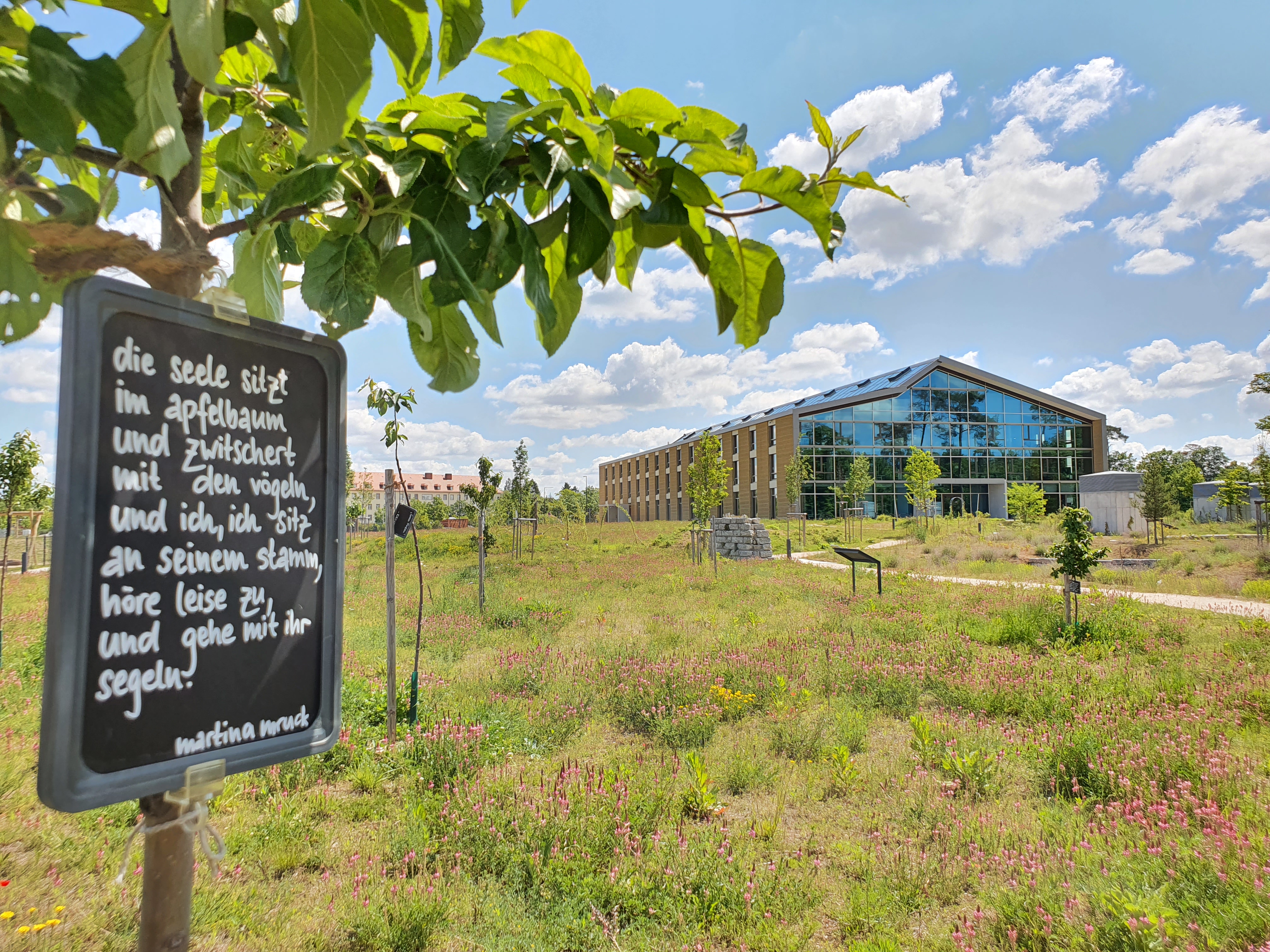 210529_Alnatura Campus_Obstwiese.jpg