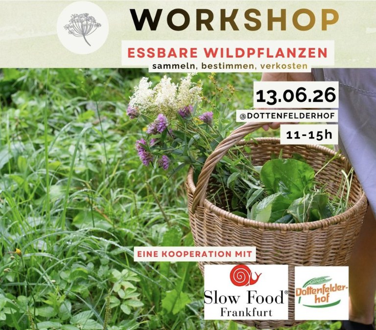 Wildkräuter.jpg Wildkräuter.jpg