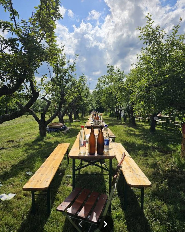 Obsthof am Steinberg.jpg