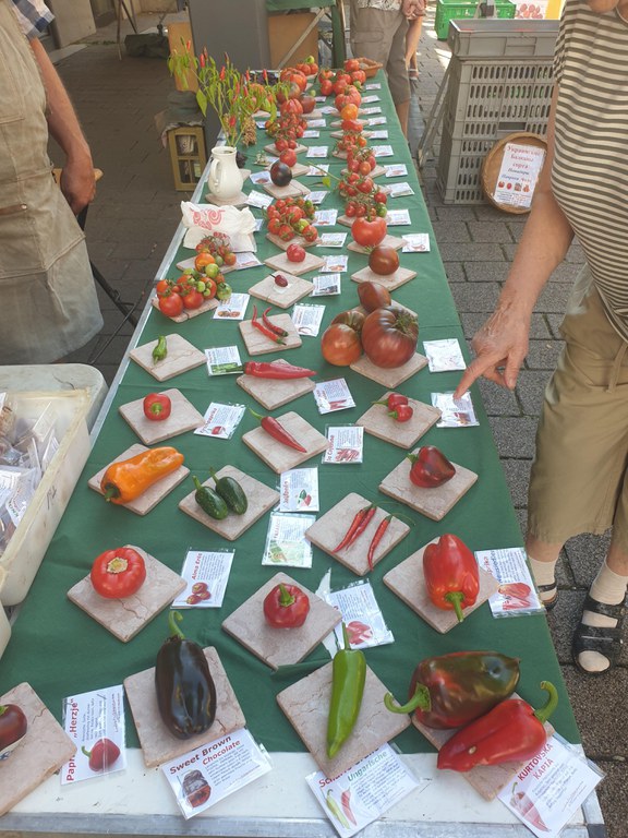 Tomatensamen Bernd .jpg