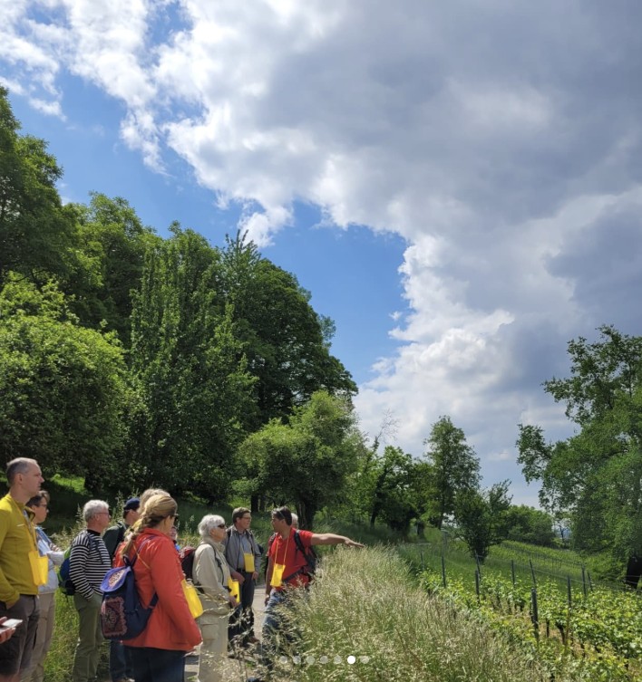 Erklärung Weinberg.jpg